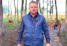 Scrisoare deschisă, adresată Domnului Senator, Ion IORDACHE!