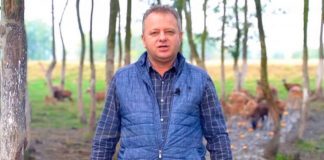 Scrisoare deschisă, adresată Domnului Senator, Ion IORDACHE!