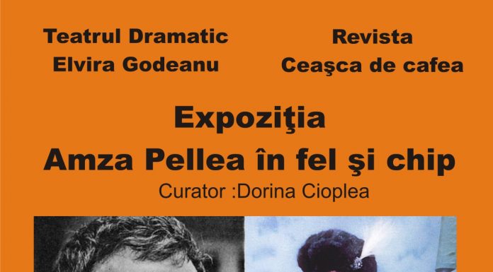 Expoziție, lansare de carte și recital Vivaldi, luni, la Teatrul Dramatic ”Elvira Godeanu”