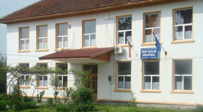 Post de informatician la un liceu din Gorj