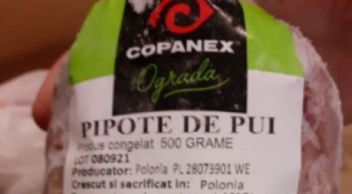 Pipote contaminate cu Salmonella