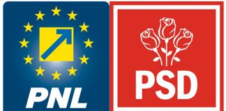 Filialele PSD decid alianțele locale. Vîlceanu: Vom discuta!