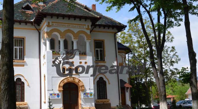 Balul voluntarilor din Novaci, o acțiune în premieră pentru Gorj!