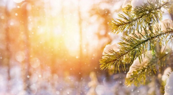 Vreme bună în prima lună a anului 2022