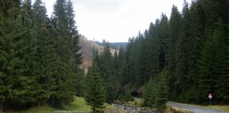 CELE DOUĂ BISTRIŢE OLTENE