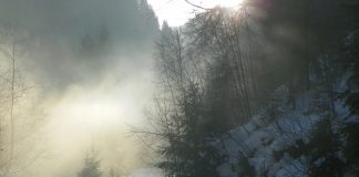 „Randonee” pe Jiul de Sus