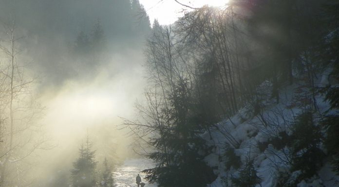 „Randonee” pe Jiul de Sus