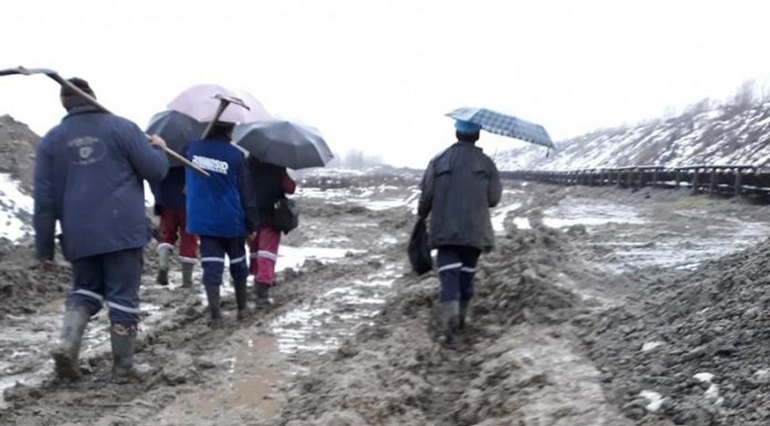 La CEO: Angajații cu mare vechime nu sunt lăsați să iasă la pensie, în timp ce 2.500 de tineri, care au depus dosare de angajare, nu sunt luați în calcul