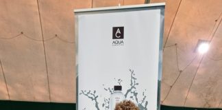 ATC Elite Târgu Jiu are un dublu campion naţional