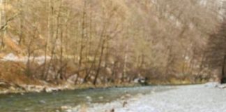 VIDEO: Rețeta săptămânii – Fabi’s Kitchen: File de păstrăv cu risotto și spanac. Gătit lângă Mănăstirea Lainici