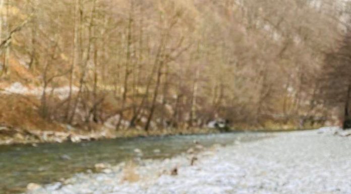 VIDEO: Rețeta săptămânii – Fabi’s Kitchen: File de păstrăv cu risotto și spanac. Gătit lângă Mănăstirea Lainici