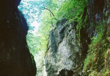 Drumuri gorjene – MUNTELE MERILOR VERTICALE