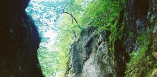 Drumuri gorjene – MUNTELE MERILOR VERTICALE