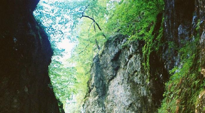 Drumuri gorjene – MUNTELE MERILOR VERTICALE