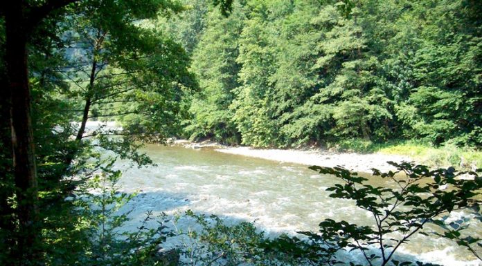 Defileul Jiului, o minune a naturii