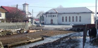 Popasuri hivernale – În ţinutul izvoarelor