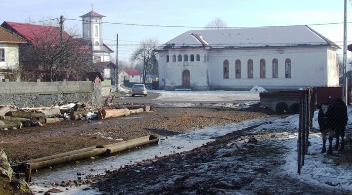 Popasuri hivernale – În ţinutul izvoarelor