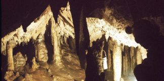 Incursiune în Lumea Carstului