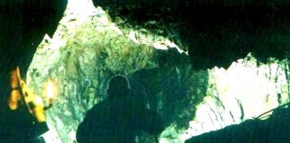 Drumuri gorjene – Lumea de piatră a Sohodolului