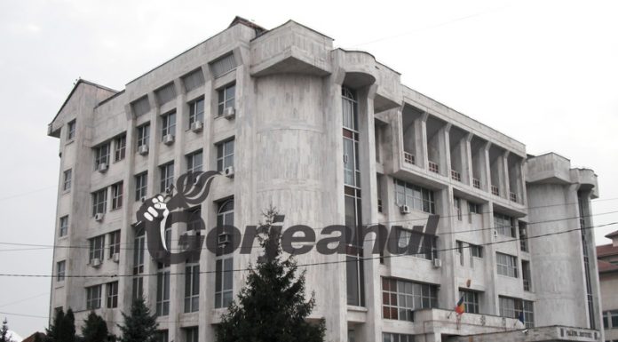 Doi ani de pușcărie pentru cinci arbori tăiați ilegal!