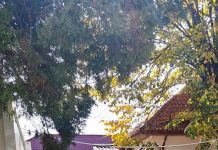 A fost închis Centrul de vaccinare de la spital