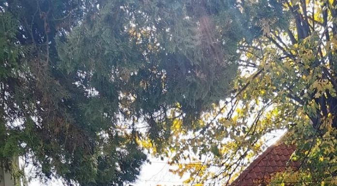 A fost închis Centrul de vaccinare de la spital