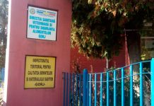 Amendă pentru un adăpost de animale