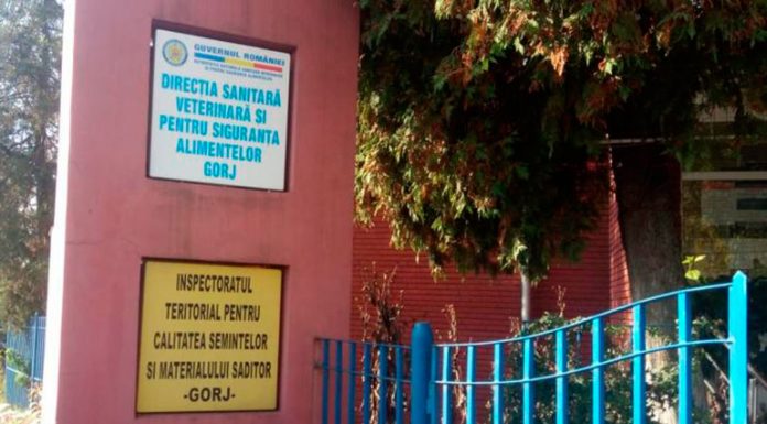 Nouă conducere la Direcția Sanitar Veterinară și Siguranța Alimentelor Gorj