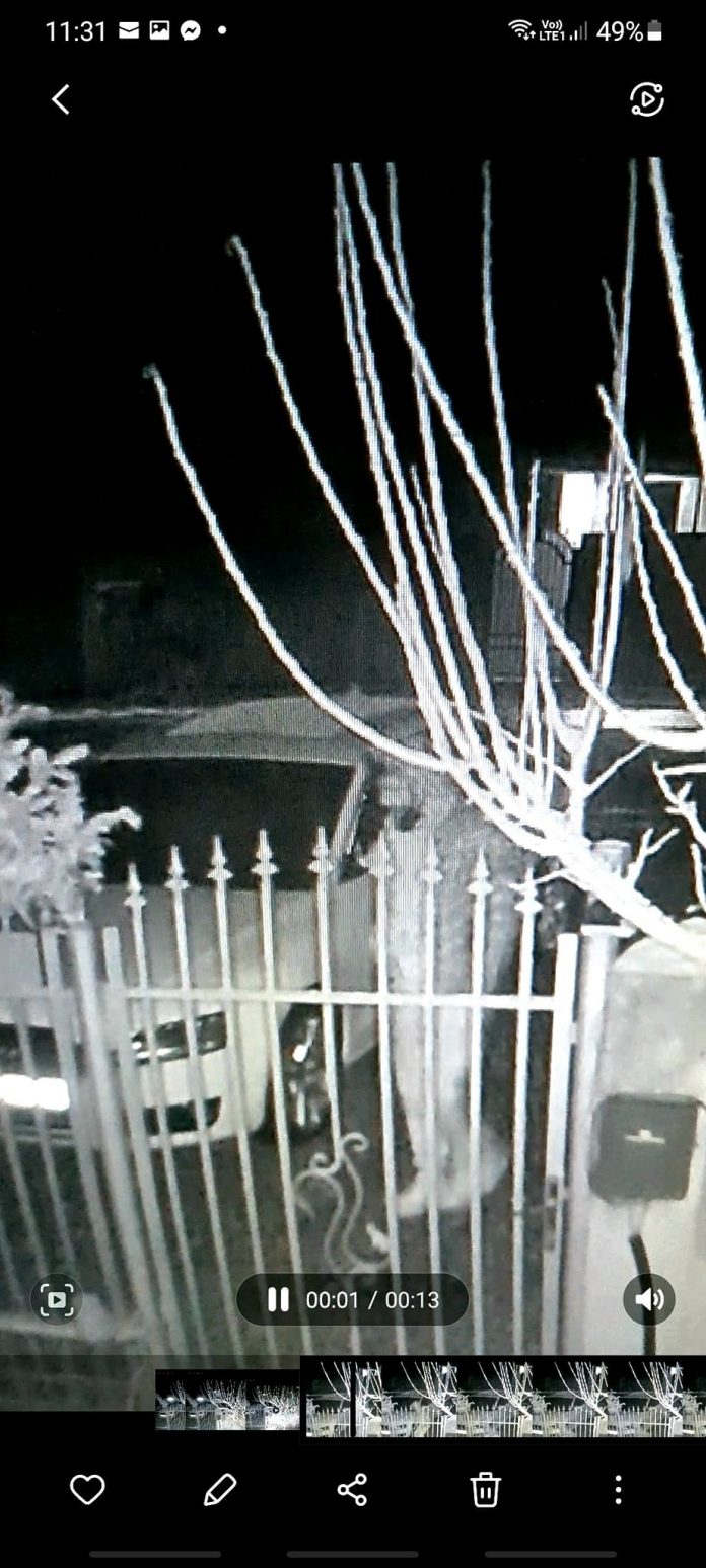 foto masina vandalizata