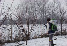 Agricultura pe înțelesul tuturor – Graficul lucrărilor agricole în luna februarie