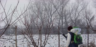 Agricultura pe înțelesul tuturor – Graficul lucrărilor agricole în luna februarie