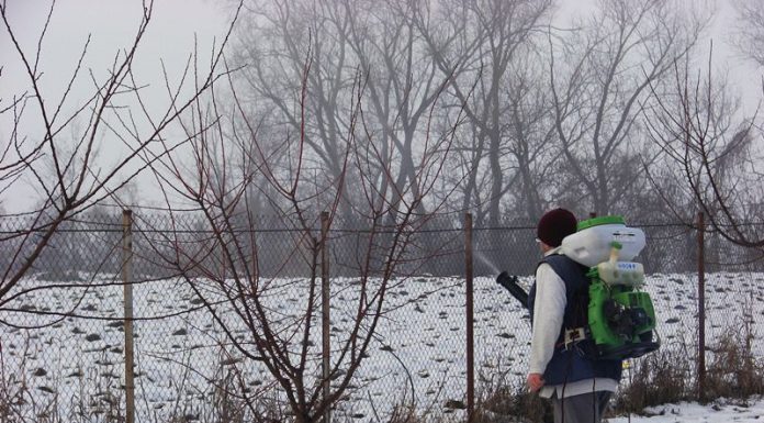 Agricultura pe înțelesul tuturor – Graficul lucrărilor agricole în luna februarie