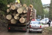 ”Scutul pădurii”, acțiune a polițiștilor, cu aproape 3.000 de controale
