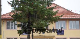 Angajare la Primăria Bengești-Ciocadia