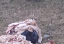 FOTO: Resturi de animale, aruncate pe Dealul Bârseștiului!