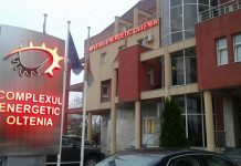 Pentru că au trucat licitațiile CEO, șase companii au fost amendate cu jumătate de miliard de euro!