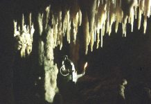 Drumuri gorjene – Incursiuni în carstul gorjean