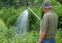 Agricultura pe înțelesul tuturor – Să ne protejăm ecologic grădina, casa