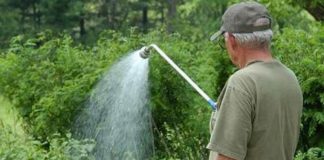 Agricultura pe înțelesul tuturor – Să ne protejăm ecologic grădina, casa