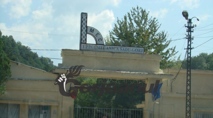 Directori din UM Sadu, cercetați pentru înșelăciune, fals în înscrisuri sub semnătură privată și uz de fals! Ar fi ajutat la pensionarea ilegală a rudelor de la Schela