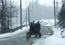 SPRE PLAIUL BĂIEŞILOR GORJENI