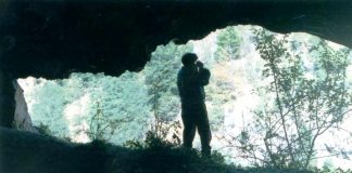 Restituiri – În umbra Kogaionului