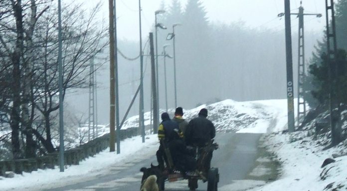 SPRE PLAIUL BĂIEŞILOR GORJENI