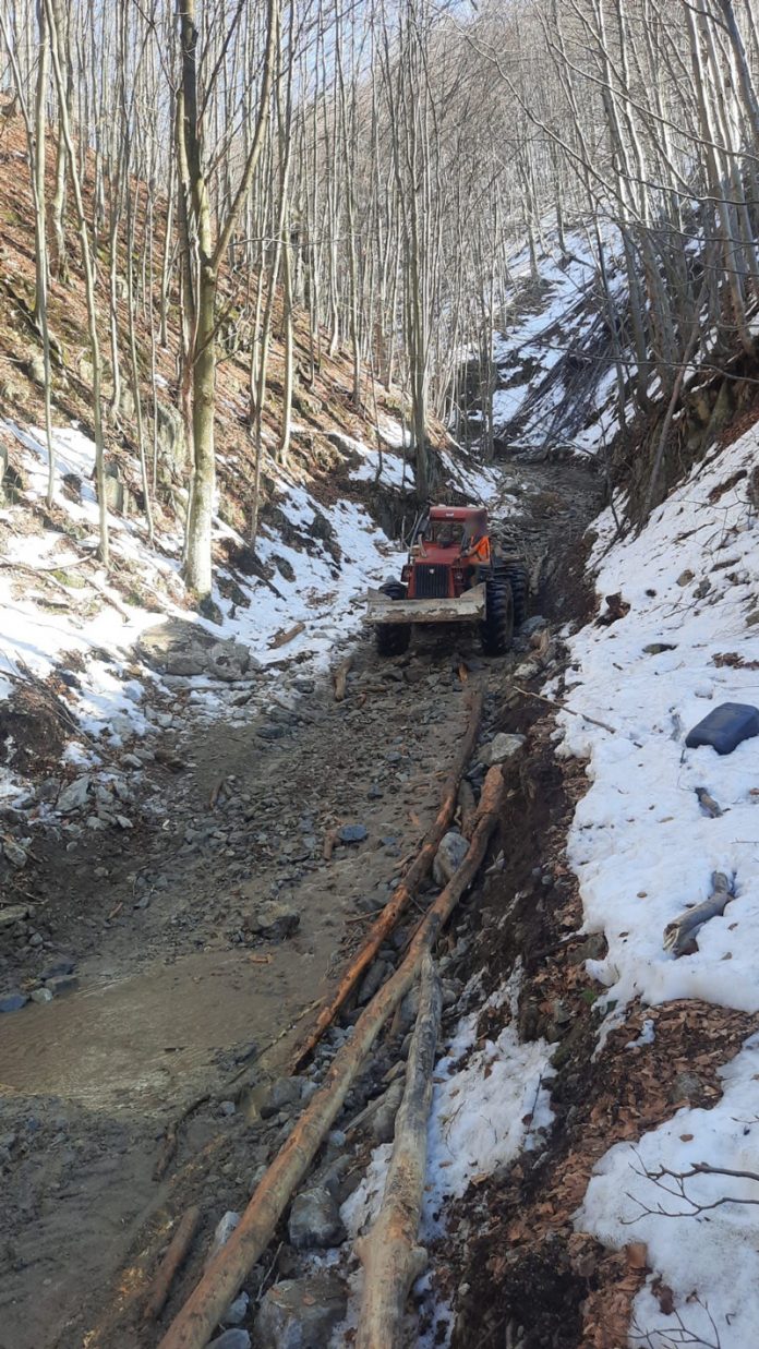 272856903_362589829204631_8185473060046928182_n