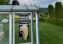 ,,Brâncuși – o poveste fără sfârșit”