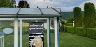,,Brâncuși – o poveste fără sfârșit”