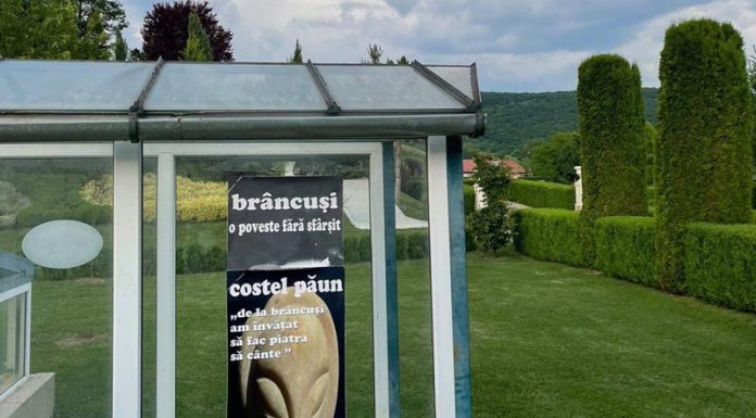 ,,Brâncuși – o poveste fără sfârșit”