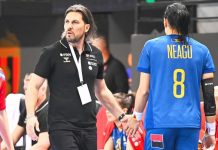 Cristina Neagu se întoarce la naţională