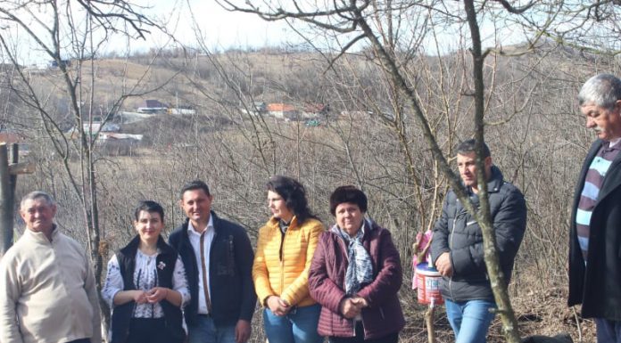 Botezul viilor, realizat de un localnic la Deleni, comuna Plopșoru