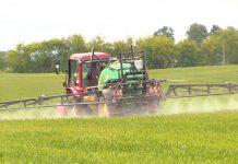 Agricultura pe înțelesul tuturor – Fertilizarea fazială a cerealelor păioase